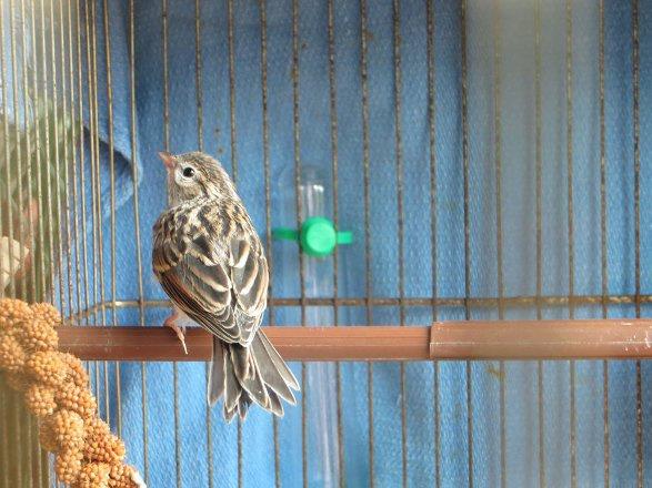 25. Gn: Tyleri zerinde desenleri inanlmaz.