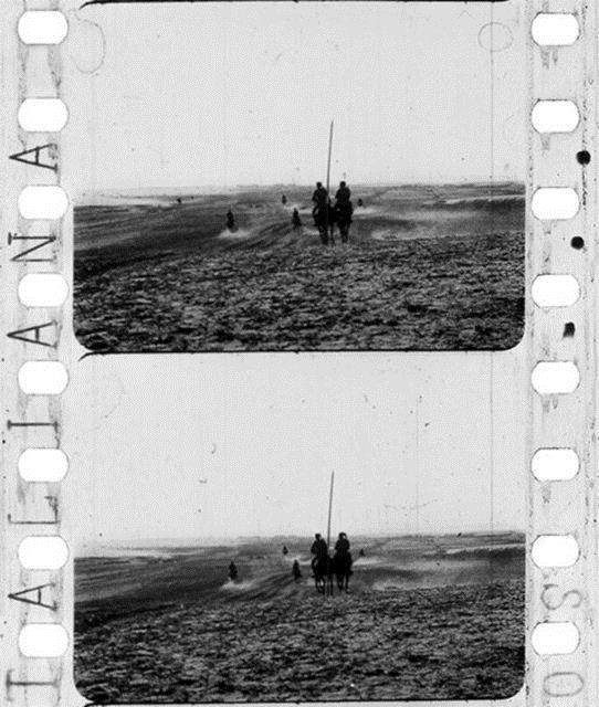 Ankara Sinema Dernei'nin T.C. Kltr ve Turizm Bakanl'nn katklaryla dzenledii Gezici Festival, 20'nci ylnda da zel blmleri ve konuklaryla seyircisiyle bulumaya hazrlanyor.