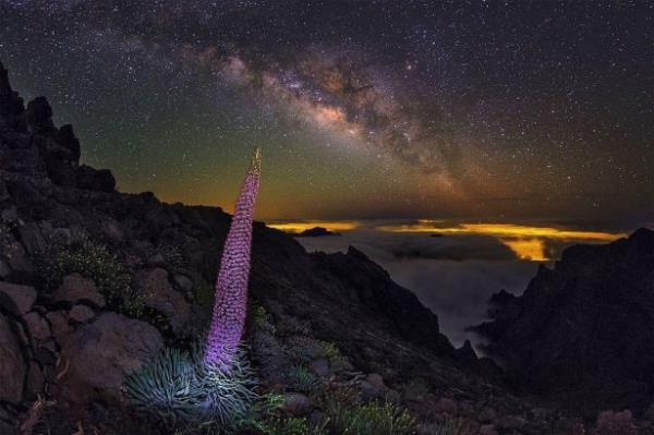 <br>La Palma, Kanarya Adalar, spanya</br>  Bu fevkalade doal gzellikte, bulutlar denizin zerine oturmu gibidir ve bulutlarn salad doal filtrelemeyle, k kirlilii engellenir.
