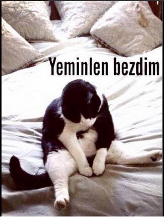 @400BinBFMezunuOYvermiyor.Sosyal medyada &#8220;400BinBFMezunu OYvermiyor&#8221; hashtag&#8217;na binlerce kii mesaj gnderiyor.