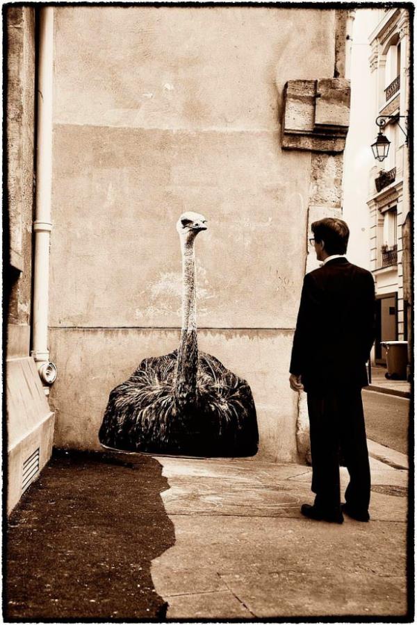 Fransz sanat Sophie, Paris sokaklarnda vahi hayvanlar usta elleri ile duvarlara izerek gzel bir grnt oluturmu.