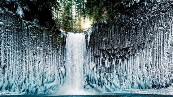 Oregon - Joshua Meador