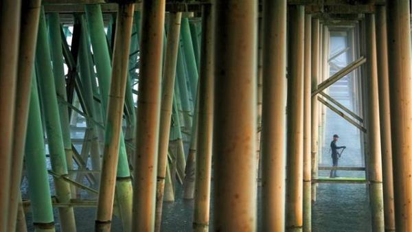 Idaho - Woods Wheatcroft