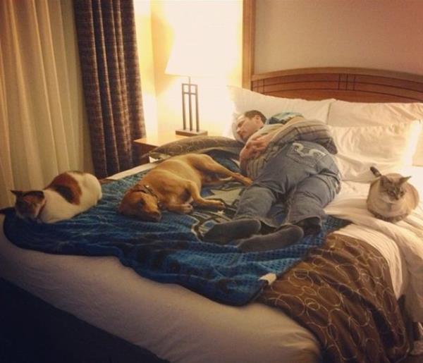 Uyku srasnda hayvannz her hareket ettiinde ya da ses kardnda sizin uyanmanza sebep olabilir.