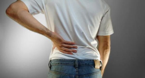 Mevsim geilerinde scaklk normalin zerinde olduunda ncelikle deri, bbrekler ve akcierler tepki gsterir.