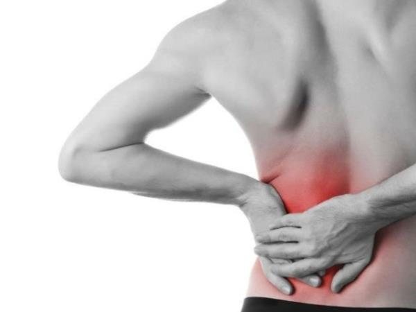 Deri scaklk seviyesi arttnda terleyerek vcut ssn dengede tutmaya alrken, bbrekler vcuttaki su orann korumak iin idrar retmez.