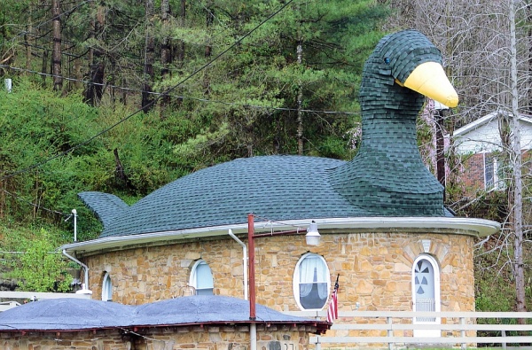 Kaz atl ev  Anne Kaz evi, Kentucky&#8217;de bulunur. George Stacy tarafndan 1940 ylnda ina edilmitir. Yumurta eklinde 8 penceresi vardr