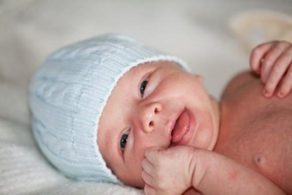 Sesiniz, evdeki hareket onu heyecanl tutacaktr.