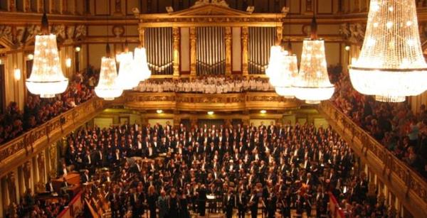 Konser salonu zellikle enstrmantal mzik iin icra yeri olarak kullanlan kltrel alanlarn bulunduu binadr. ou konser salonu birka dier konser salonuyla beraber ayn sahne sanatlar merkezi iinde yer alr ve uygun olduu yerde sanat merkezi ismiyle birlikte geer.