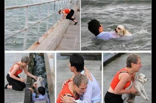Denize den minik kpei yal sahibi kurtaramaynca imdanna yardmsever bir adam yetiti.