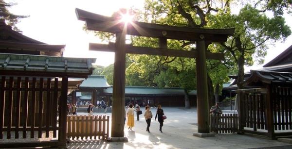 Yedinci srada Meiji Jingu Shrine' gryoruz. Meiji Jingu Shrine'nin yllk ziyareti says 30 milyon.