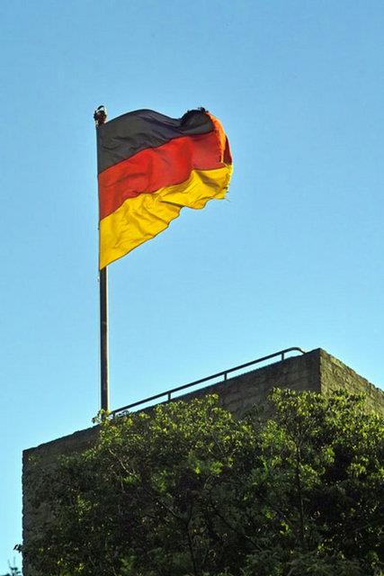 Almanya Ya ortalamas:45 Yal nfus oran yzde 5.4