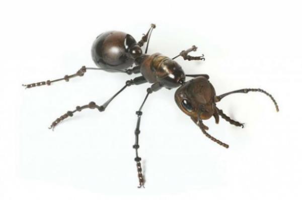 Fransz sanat Edouard Martinet, eski araba paralar ve hurda metallerden oluturduu koleksiyonuyla dikkat ekiyor.