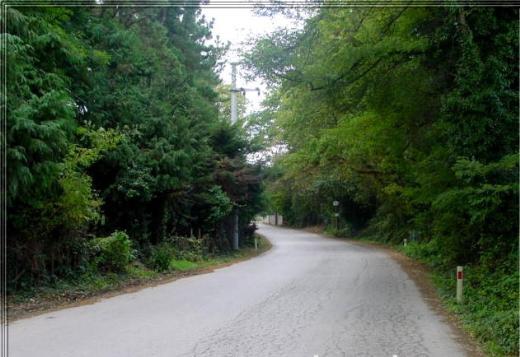 Kye gelmeden, etraf am aalar ve yeilliklerle evrili yollardan geerken kendinizi bir anda stanbul'un kalabalkl, grlts ve stresinden arnm hissedersiniz. Kye hemen girite sizi kilise ve mezarlk karlar. Trkiye'de Polonyallarn yaad bu ky, sosyolojik ve corafi adan, ilk duyuta insana biraz arpc geliyor. te buras stanbul'un en gzel srprizlerinden biridir.