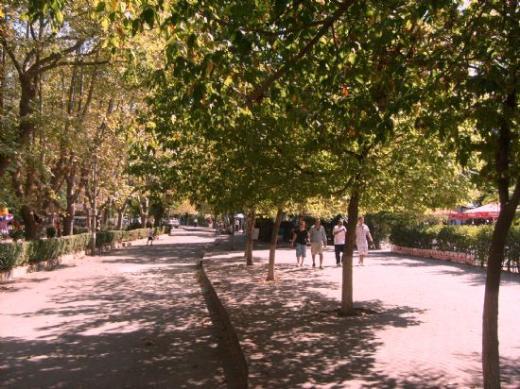 Moda sahili bir baka; &#8220;Kadky&#8221; denilince akla ilk nce o esiz gzelliiyle sizi eken Moda Sahili gelir. Gemite birok kklere ve yallara ev sahiplii yapm olan Moda Sahili imdilerde kysn, ay baheleri ve apartmanlara brakm olsa da ekiciliinden hibir ey eksiltmemitir.