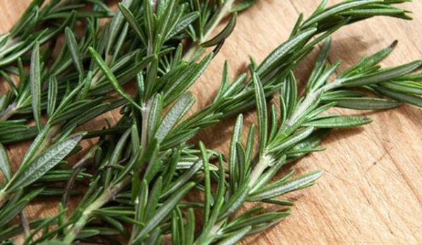 British Journal of Nutrition dergisinde yaymlanan bir makaleye gre, biberiyede bulunan karnosik asit, alk kan ekeri seviyesini drerek kilo almna snr koyar.