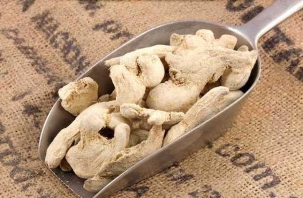 Metabolism dergisinde yaymlanan bir aratrma sonucuna gre, zencefil gda termik etkisini artrr ve tokluk duygusunu destekler.