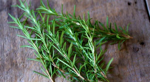 Tip 2 diyabetle ilgili enzimlerin engellenmesine yardm eder.