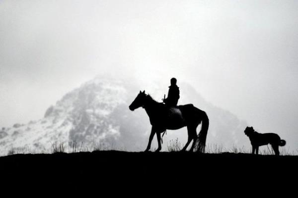 Van'n Grpnar ilesi Krkgeit Mahallesi'nde ocuklar, gnlk ilerde ska kullanlan atlarla eleniyor. 3.11.2014