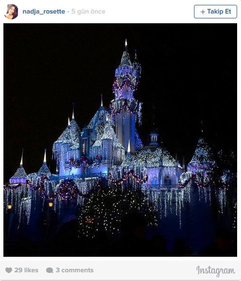 1. Disneyland, Anaheim, Kaliforniya