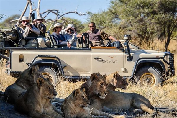 Afrika'da safariye kmak.