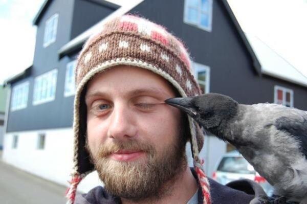 G�z�n�n ya��n� yerim (TEMS�L�)