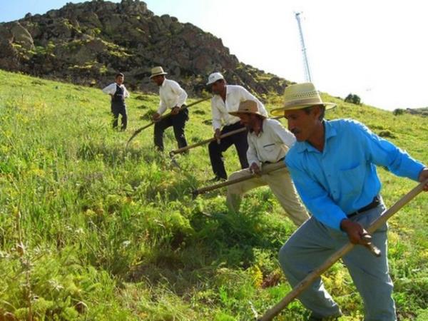 90. ifti Yllk geliri: 65 bin 250 Dolar