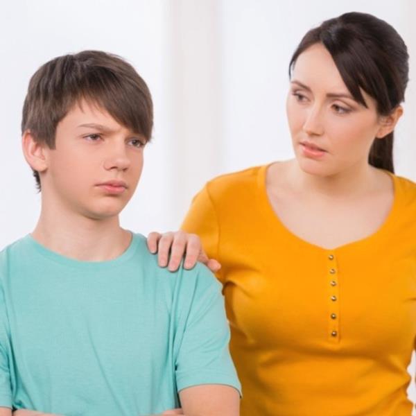 nceden aklanmas ve bu kurallara uyulmad takdirde ne gibi kstlama ya da cezalar olaca belirlenmelidir.