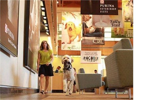 <br><b>3. Nestl Purina Petcare</b></br>  alanlarn verdii not 5 zerinden 4,4.