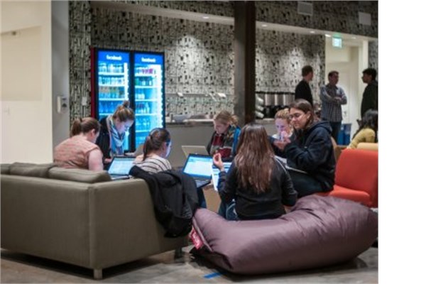 <br><b>13. Facebook</b></br>  alanlarn verdii not 5 zerinden 4,1.