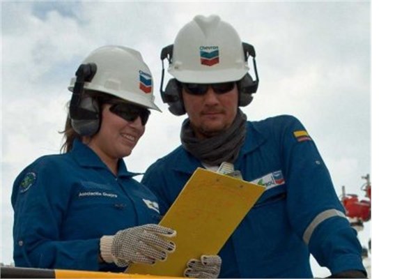 <br><b>6. Chevron</b></br>  alanlarn verdii not 5 zerinden 4,2.