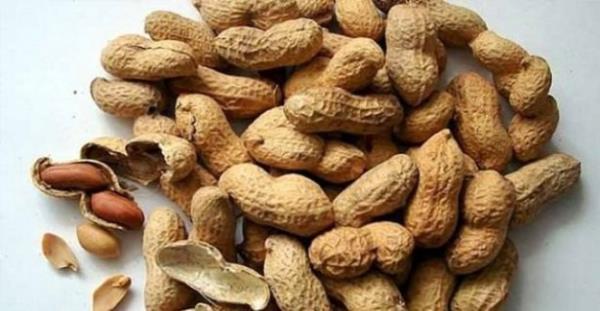 OSMAN�YE - Yer F�st���