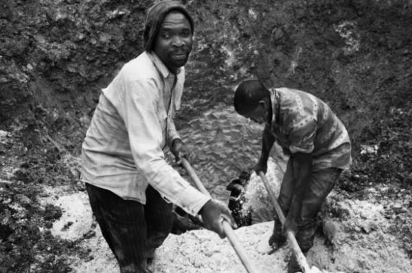 Karlan koltan, ncelikle ABD olmak zere bat lkelerine ihra ediliyor.