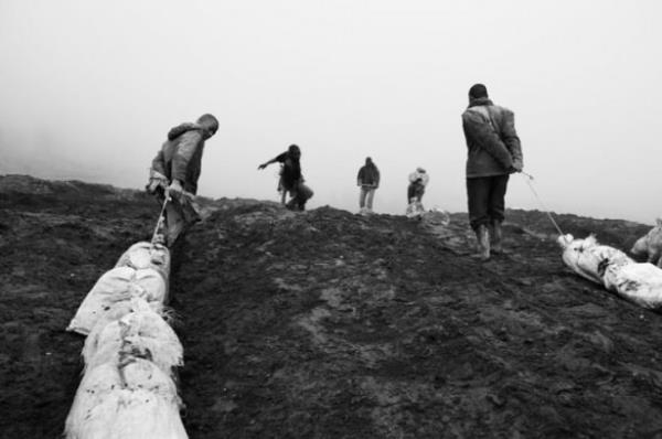 Koltann kilo fiyat ise 200 DOLAR.