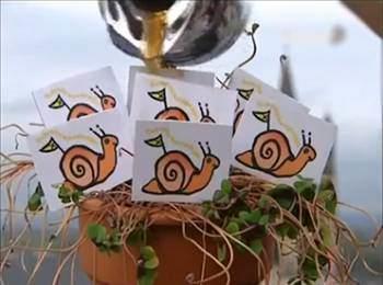 Kaynatlm kahveyle ieklerin diplerine musallat olmu solucanlar bertaraf edebilirsiniz. Kafein bir sinir gazdr son derece hzl etki eder, zararl bcekleri 24 saat iinde ieklerden uzaklatrr.