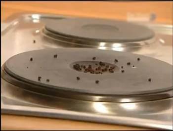 Ocanz stp toz kahve dkdkten sonra, gzel kahve kokusunun hemen evinize yayldn fark edeceksiniz.