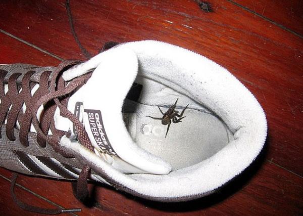 te turistleri korkutacak grntler...