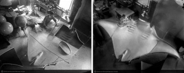 lk fotoraf ise 1917'de Amerikan Doal Tarih Mzesi'ne getirilen bir vatus bal maketinin fotorafyd.