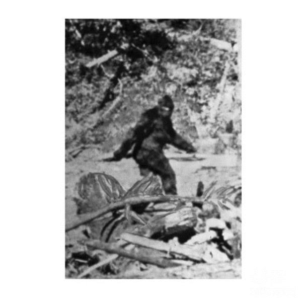 Yeti'nin Amerikan versiyonu... Bu fotoraf 1967 ylnn ekim aynda ekilmiti