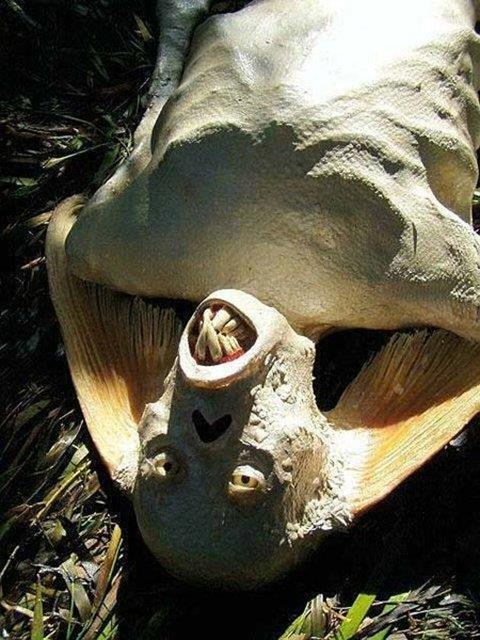 Bir sanatnn elinde kma bu "deniz kz", 2006 ylnda Ebay'de satld.