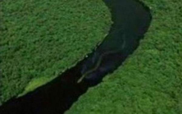 Borneo'daki dev ylan... Havadan ekilen bu fotoraf gren Borneolular efsanevi dev ylann geri dndne inanyor...