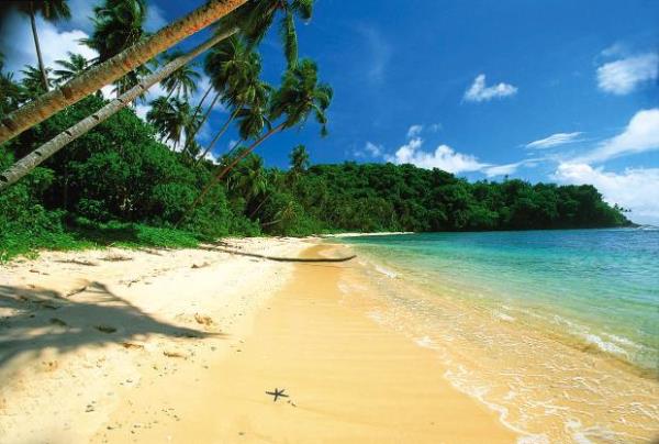 <p><b>Samoa</b></p>  Samoa'da ayrca bir polis gc var ancak elbette bu lkenin genelinde etkin olabilecek bir askeri g deil.