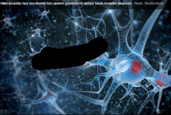 Bilim ve teknoloji dnyasnda 2014 ylnda uzay keifleri alannda birok ilke imza atlrken, 3D yazc ve yapay zeka nemli gelimelere tank oldu. Teknoloji dnyas ise siber saldrlar ve byk satn almlarla megul oldu.