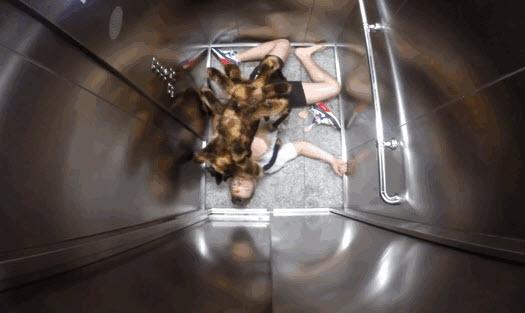 <p><b>Dnya En ok Neleri zledi</b></p>  Polonyal akac Sylwester Wardega tarafndan rmcek kostm giydirilerek evrim geirmi ss verilen bir kpek ile yaplan aka, hem rktt hem de gldrd.     <p>Mutant Giant Spider Dog (SA Wardega) - SA Wardega</p>