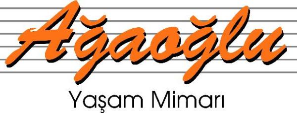 Ali Aaolu, Aaolu irketler Grubu Ynetim Kurulu Bakan