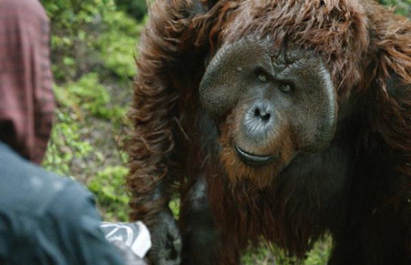 19. Maurice (Planet Of The Apes)