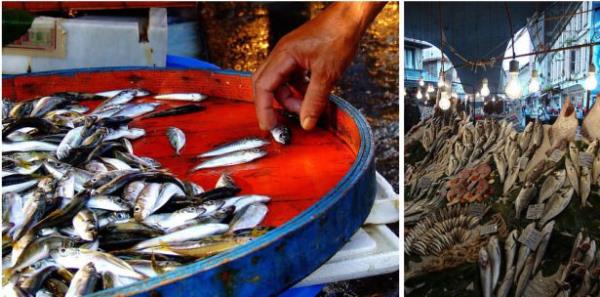 Birok semte bulunan balk pazarlarndan keyfinize gre bir balk seebilirsiniz.