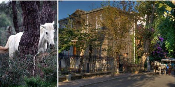 Adalarda yaayacanz bambaka gzelliklere hazr olun...