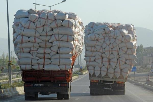 Van'n cadde ve sokaklarndaki insanlarn, hayvanlarn ve aralarn karayollar zerindeki ilgin hal ve hareketleri fotorafland