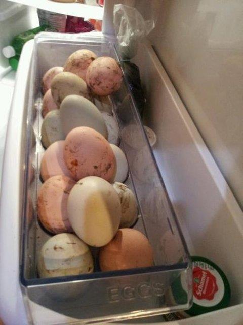 <b>5. Yumurtalar kapya yerletirmek</b>